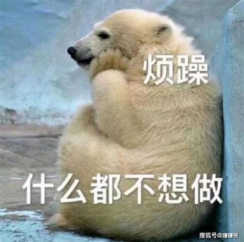 吃瓜群众吃鸡腿图片表情包,表情包里的鸡腿诱惑