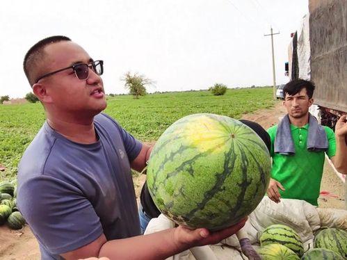 小斌吃瓜版,揭秘娱乐圈幕后真相