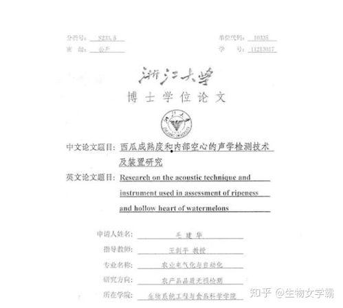 吃瓜论文文献,网络时代的舆论场与社交现象解析