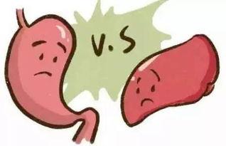 咸鱼吃瓜要吐了,揭秘网络谣言背后的真相