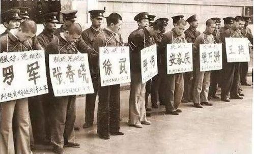 严打时期吃瓜,吃瓜群众的见证与反思