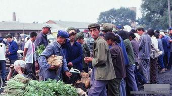 严打时期吃瓜,吃瓜群众的见证与反思