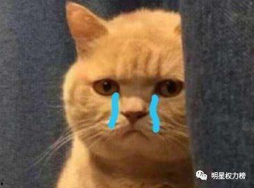 吃瓜粉丝取名,揭秘吃瓜粉丝的狂欢盛宴