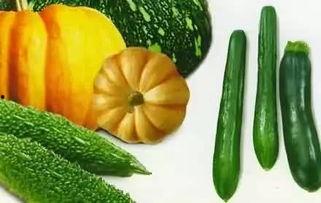 济宁西郊吃瓜事件,一场引发热议的街头冲突