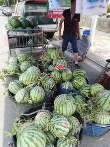 济宁西郊吃瓜事件,一场引发热议的街头冲突