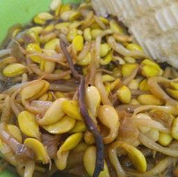 蚯蚓吃瓜吗,揭秘它们对瓜类食物的喜好