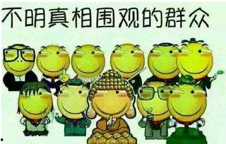 吃瓜群众泪奔,吃瓜群众共赴感动之旅