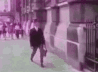 吃瓜搞笑奇葩图片,吃瓜搞笑奇葩图片大盘点