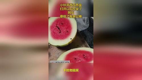 吃瓜开盲盒,一场惊喜与期待的游戏之旅