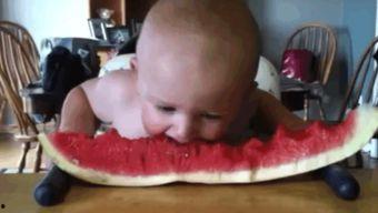 小孩吃瓜可爱视频,萌娃吃瓜瞬间，可爱指数爆表