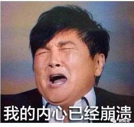 相爱相思吃瓜,瓜田里的甜蜜邂逅