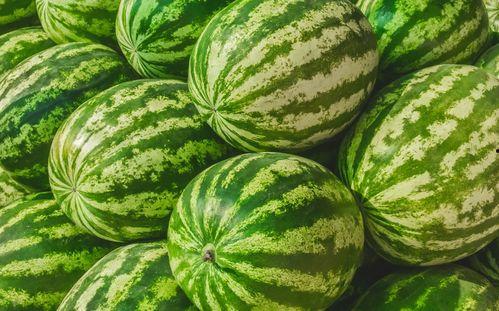 吃瓜网在哪找,吃瓜网——揭秘热门八卦资讯的聚集地