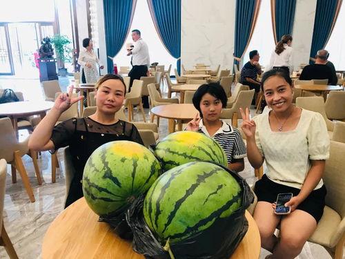 陈清平吃瓜,揭秘娱乐圈幕后故事