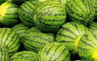 吃瓜之大,网络舆论场中的娱乐与真相