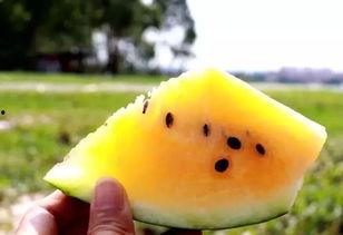 吹爆吃瓜,揭秘娱乐圈幕后真相！