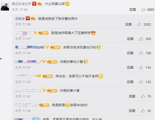 吃瓜评论区王者,王者峡谷里的那些事儿