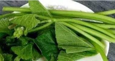 吉安网红吃瓜,揭秘网络红人的幕后故事