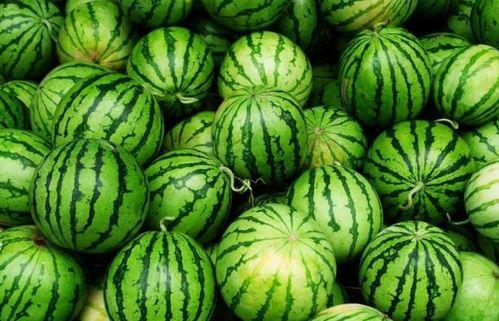 夏天吃哪里瓜,探寻夏日最佳“瓜”果乐园