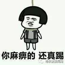 带你吃瓜奇葩菜刀,带你探索“带你吃瓜”的独特风味