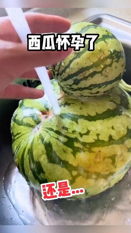 搞笑吃瓜全部,笑料横飞，笑出腹肌的欢乐盛宴