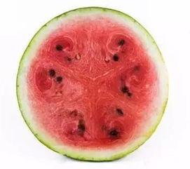 搞笑吃瓜全部,笑料横飞，笑出腹肌的欢乐盛宴