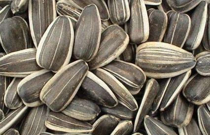 孕妇可以吃瓜的籽吗,孕妇食用西瓜籽的注意事项与建议