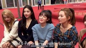 wendy 在线吃瓜,揭秘娱乐圈幕后故事