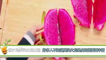 吃瓜记得擦嘴,品味生活的小技巧