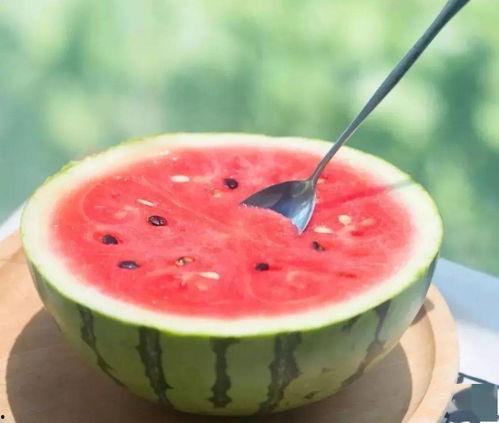 小勺吃大瓜,探索微与巨的奇妙交融