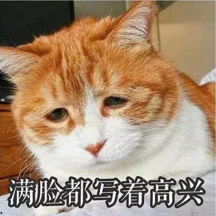 当你从吃瓜变成被吃瓜,身份转变的奇妙旅程