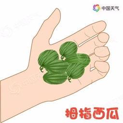 吃瓜创飞,揭秘娱乐圈背后的那些事儿