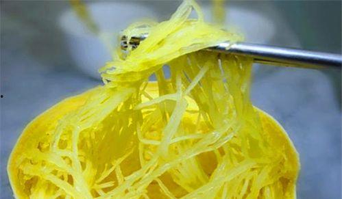 可以吃丝的瓜,探索可食丝瓜的多样魅力