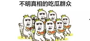 吃瓜不忘吐瓜子,吐瓜子智慧生