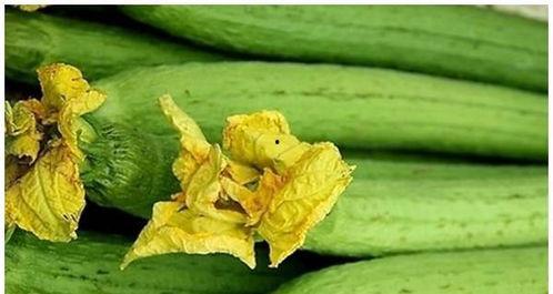 去妇科吃瓜,揭秘女性健康与生活那些“吃瓜”事