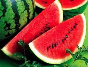 西瓜条子视频吃瓜