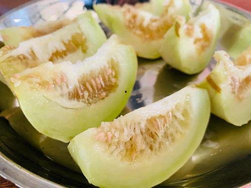 安静吃瓜多嘴,揭秘网络舆论的微妙平衡  第1张