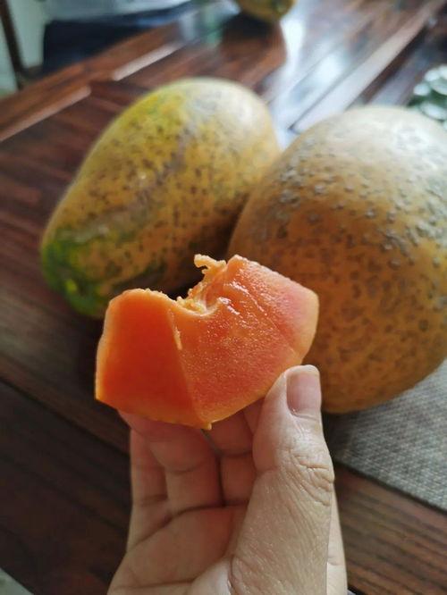 安静吃瓜多嘴,揭秘网络舆论的微妙平衡  第3张