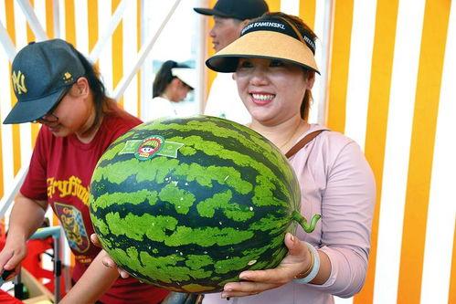 吃瓜大王1,揭秘娱乐圈背后的秘密与真相