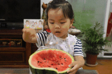 吃瓜网友故事  第3张