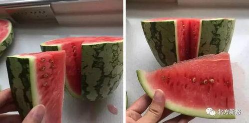 移植以后瓜可以吃吗