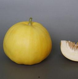 打了胎可不可以吃哈密瓜  第2张