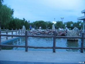 丝路名城吃哈密瓜,品味千年古城的甜蜜诱惑  第2张