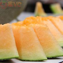 丝路名城吃哈密瓜,品味千年古城的甜蜜诱惑  第3张