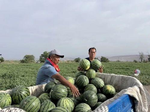 血河吃瓜16,揭秘神秘事件背后的惊人真相  第2张