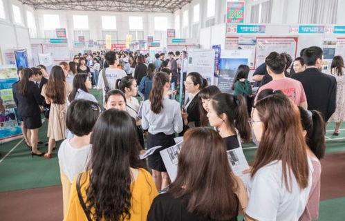 吃瓜798富老师,网红背后的故事与影响力