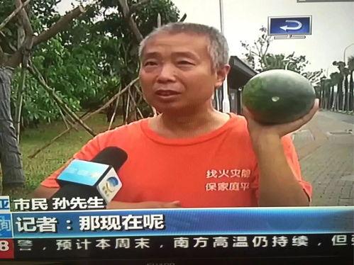 往年热门吃瓜事件  第1张