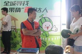 东胜杨静吃瓜  第3张