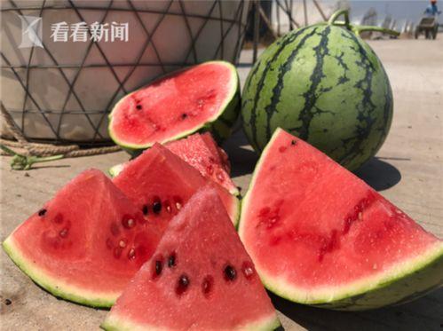 莎头全场吃瓜,揭秘娱乐圈幕后风云  第3张