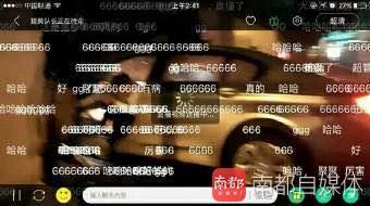 吃瓜撞墙,揭秘网络热词背后的故事与影响  第2张