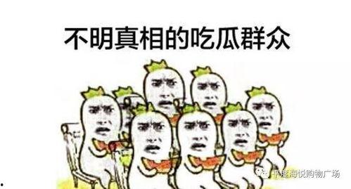 红楼吃瓜群众txt